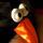 wahit's picture
