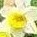 sogo2's picture