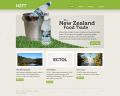 NZFT website concept